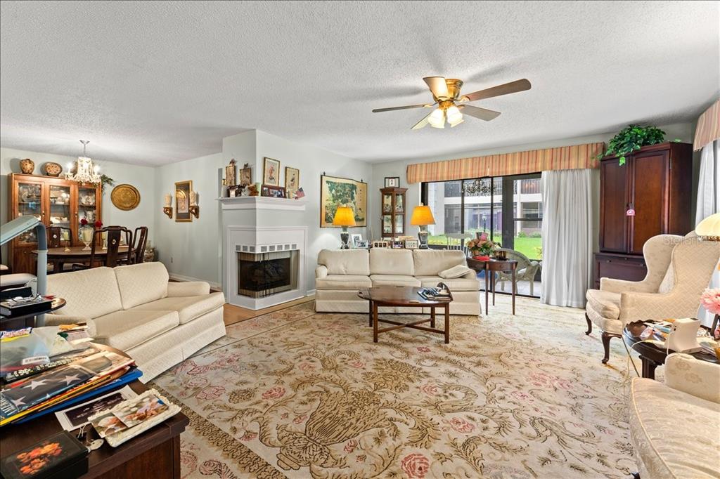 A living room features a fireplace, a large patterned rug, and a ceiling fan — 13014 VILLAGE CHASE CIRCLE, TAMPA, FL