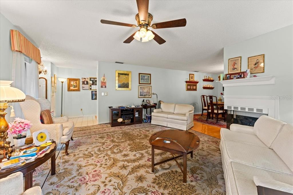 A living room features a patterned area rug, a ceiling fan, and a fireplace — 13014 VILLAGE CHASE CIRCLE, TAMPA, FL