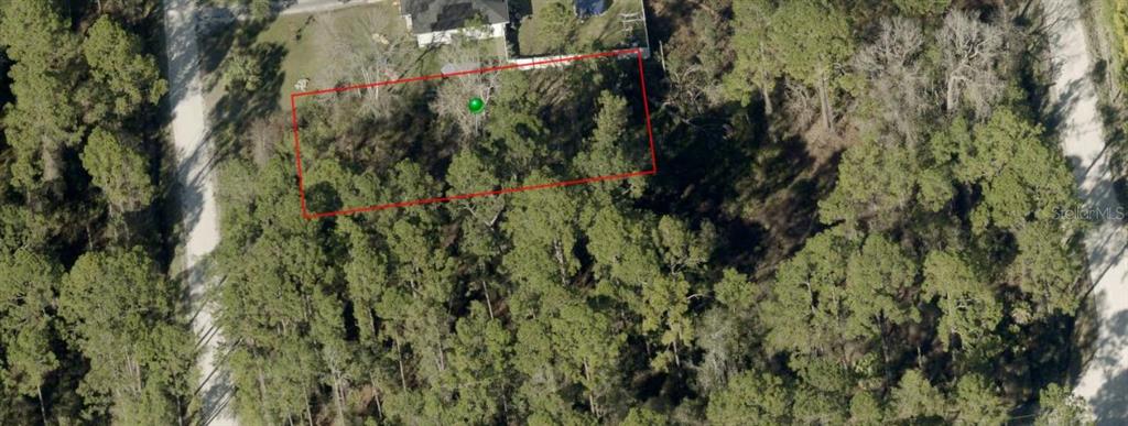 An aerial view shows a rectangular plot of land outlined in red among dense trees — 1233 EAST PARKWAY, DELAND, FL