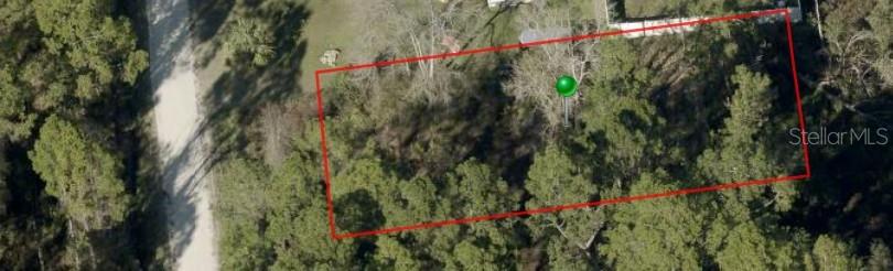 An aerial view shows a rectangular, wooded plot of land outlined in red — 1233 EAST PARKWAY, DELAND, FL