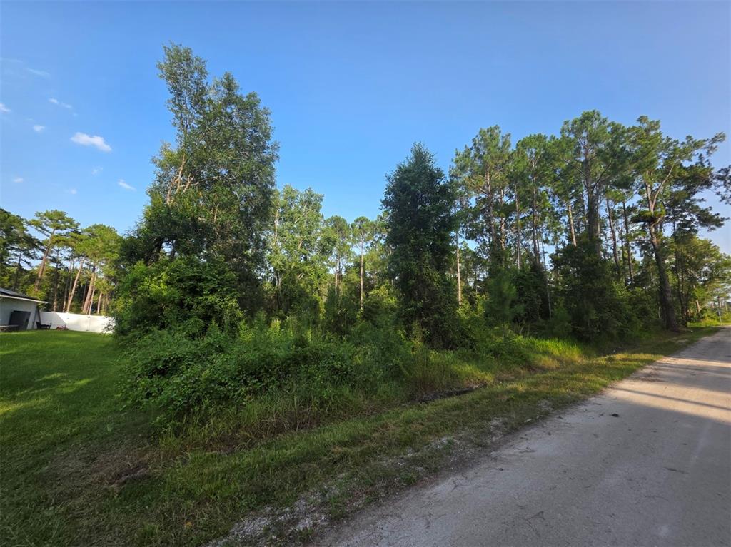 A dirt road runs alongside a wooded, undeveloped lot with dense vegetation and tall trees — 1233 EAST PARKWAY, DELAND, FL