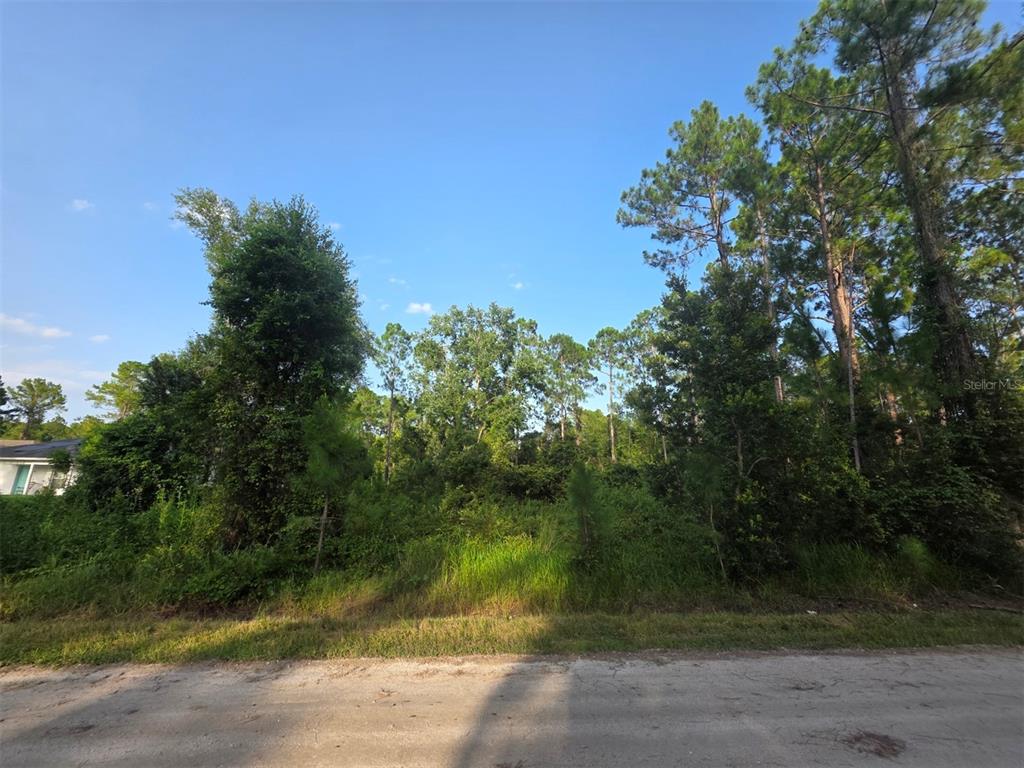 A vacant, wooded residential lot sits alongside a dirt road under a clear blue sky — 1233 EAST PARKWAY, DELAND, FL