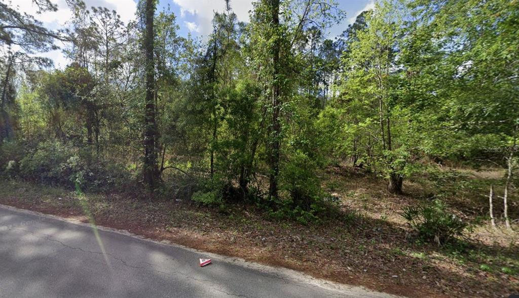 505 HICKORY NUT TRAIL, SATSUMA, FL — photo 2 of 6