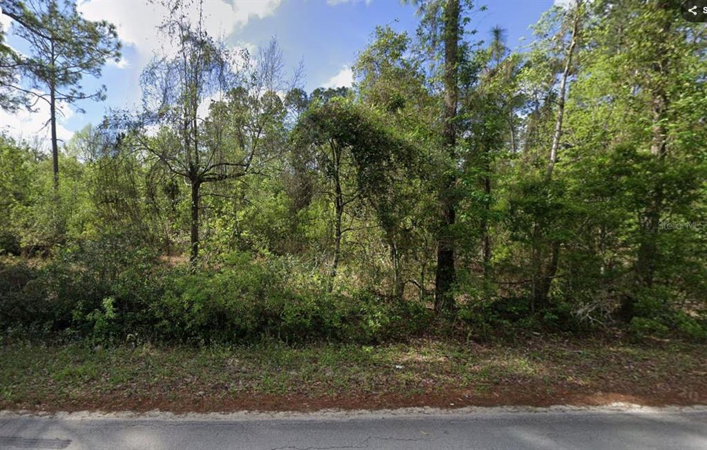 505 HICKORY NUT TRAIL, SATSUMA, FL — photo 3 of 6