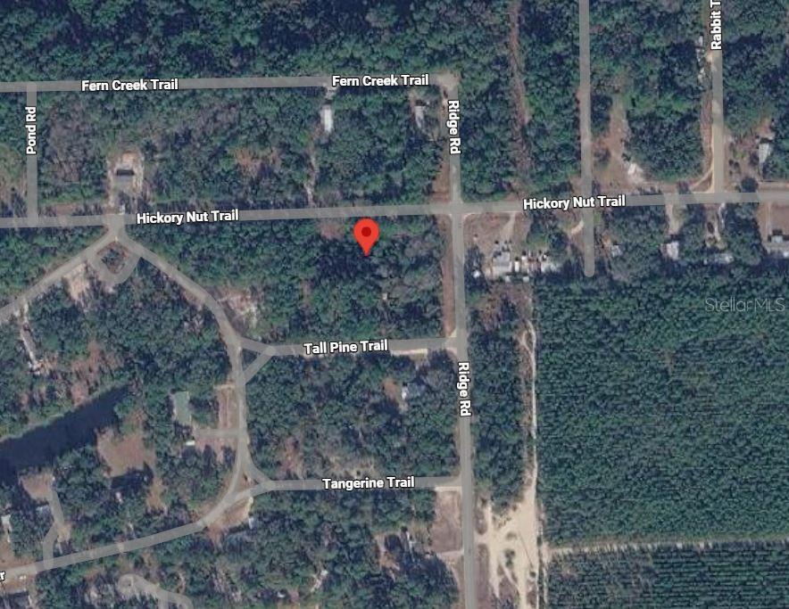 505 HICKORY NUT TRAIL, SATSUMA, FL — photo 4 of 6