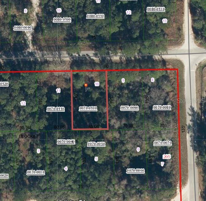 505 HICKORY NUT TRAIL, SATSUMA, FL — photo 5 of 6