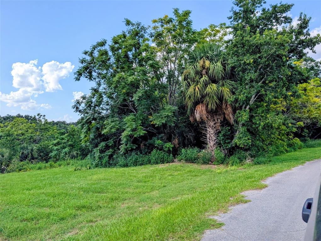 GREEN BRIAR DRIVE