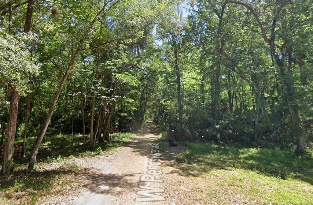 A dirt road leads through a dense, wooded area with tall trees and lush vegetation — 10008 W PENNSYLVANIA STREET, HOMOSASSA, FL