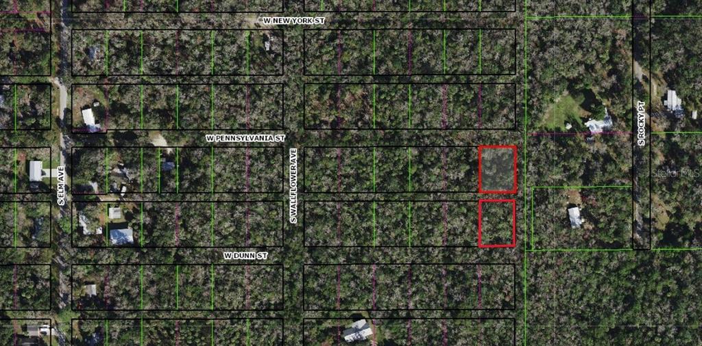 This is an aerial map showing two adjacent vacant lots highlighted in red — 10008 W PENNSYLVANIA STREET, HOMOSASSA, FL
