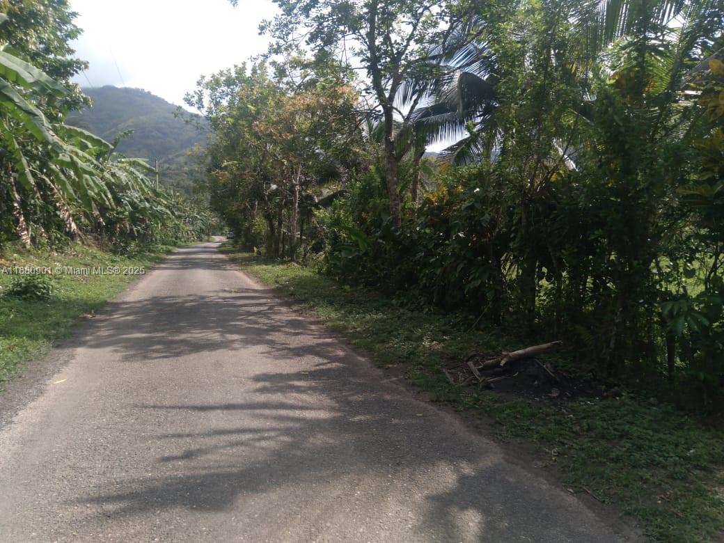 A paved road stretches through a lush, tropical landscape with trees and mountains in the distance — 00 St. Mary, Jamaica, FL, FL