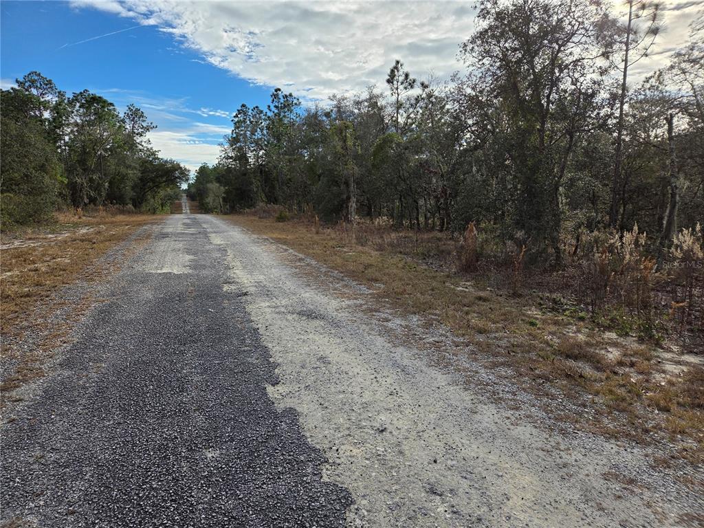 A narrow, partially paved road stretches through a wooded area under a cloudy sky — 0000 SE 128TH AVENUE, DUNNELLON, FL