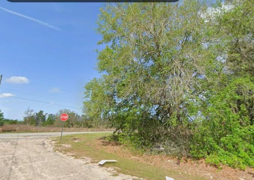 A view of a vacant, tree-covered lot at a street corner with a stop sign — 7714 N WALTON TERRACE, DUNNELLON, FL