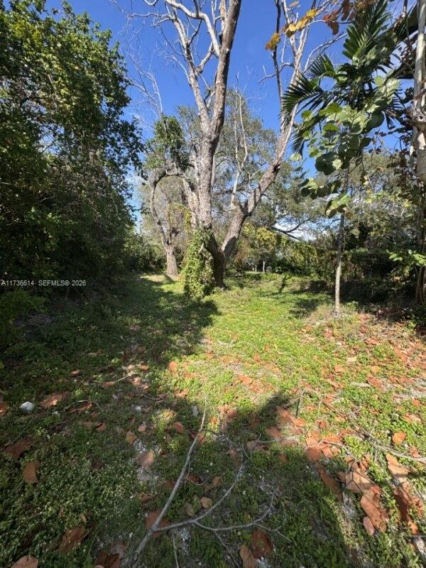 A grassy, wooded lot features several large trees under a clear blue sky — 2361 SW 45th St, Dania Beach FL 33312, DANIA BEACH, FL