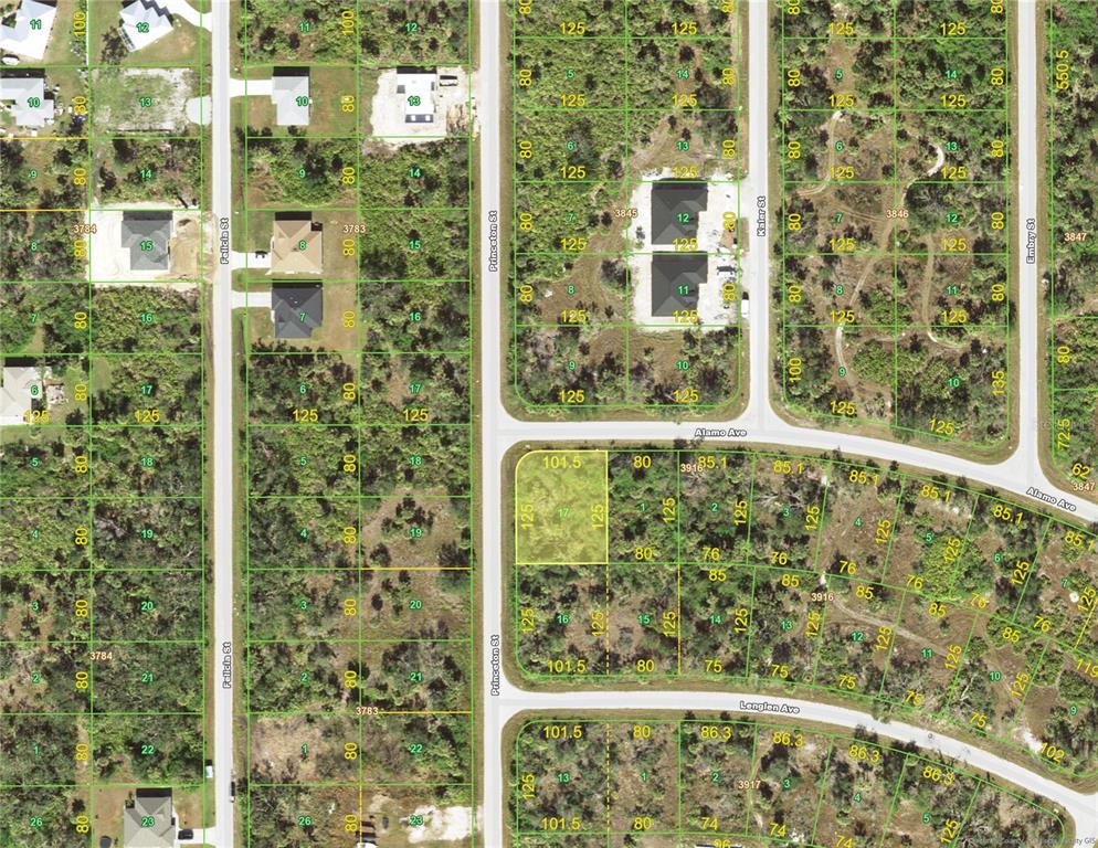 This is a satellite map showing residential lots and streets in a wooded area — 12085 ALAMO AVENUE, PORT CHARLOTTE, FL