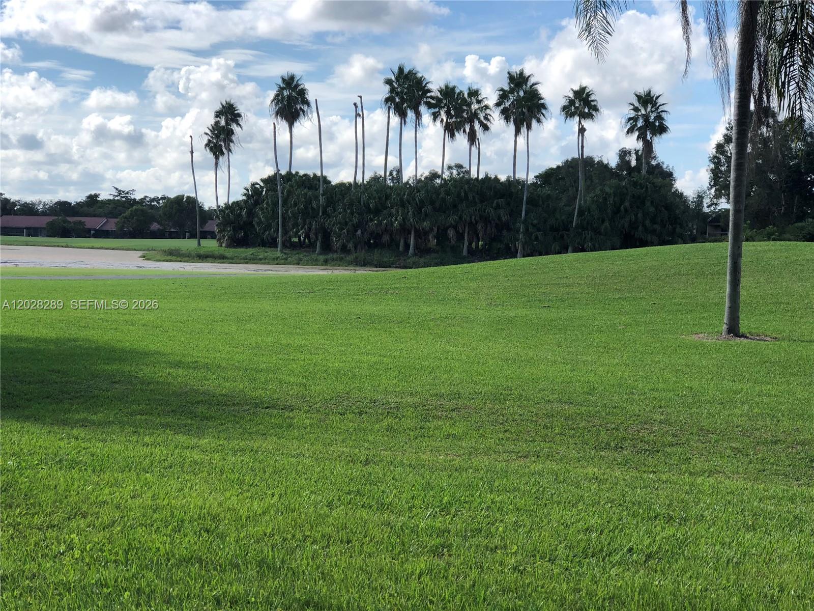 A grassy lawn slopes toward a line of palm trees under a cloudy blue sky — 16300 Golf Club Rd # 105, Weston FL 33326, WESTON, FL