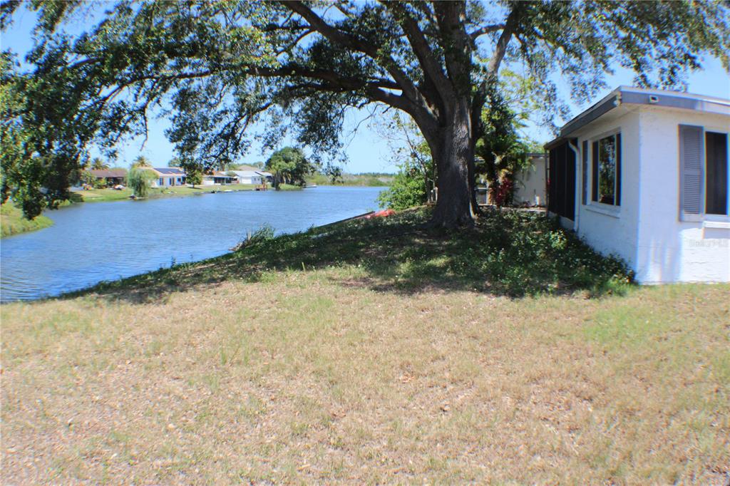 A large tree stands on a grassy lawn next to a house overlooking a lake — 3507 LANDALE DRIVE, HOLIDAY, FL