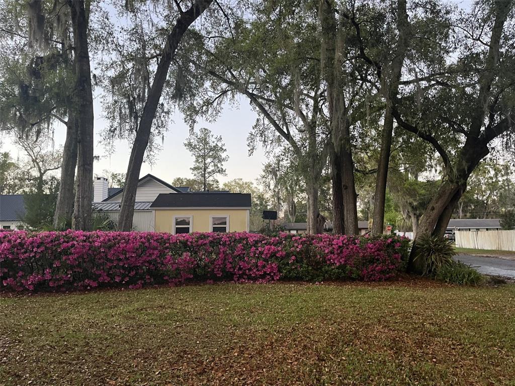 A vibrant pink azalea hedge sits in front of a yellow house and tall trees — 3925 SE 17TH STREET, OCALA, FL