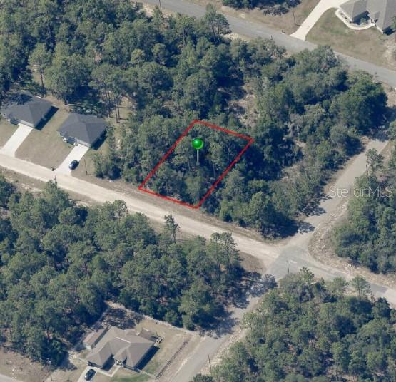 An aerial view shows a vacant, wooded lot outlined in red with a green marker — 8884 N VIENNA DRIVE, DUNNELLON, FL