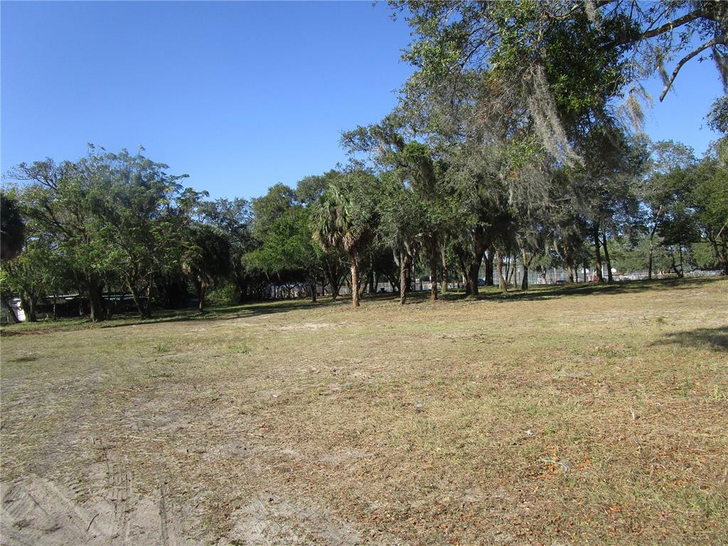 A large, grassy, undeveloped lot features scattered mature trees under a clear blue sky — 6718 N ROME AVENUE, TAMPA, FL