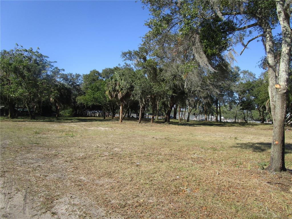 A large, flat, grassy lot with scattered trees and a fence in the background — 6718 N ROME AVENUE, TAMPA, FL