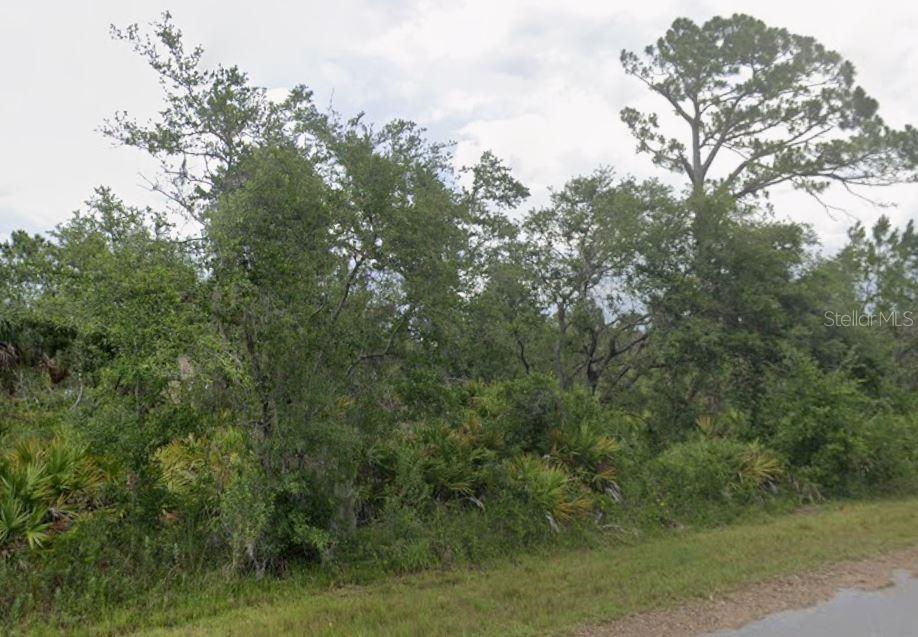 A view of a densely wooded, undeveloped lot with native Florida vegetation and tall trees — 13318 SEDRO AVENUE, PORT CHARLOTTE, FL