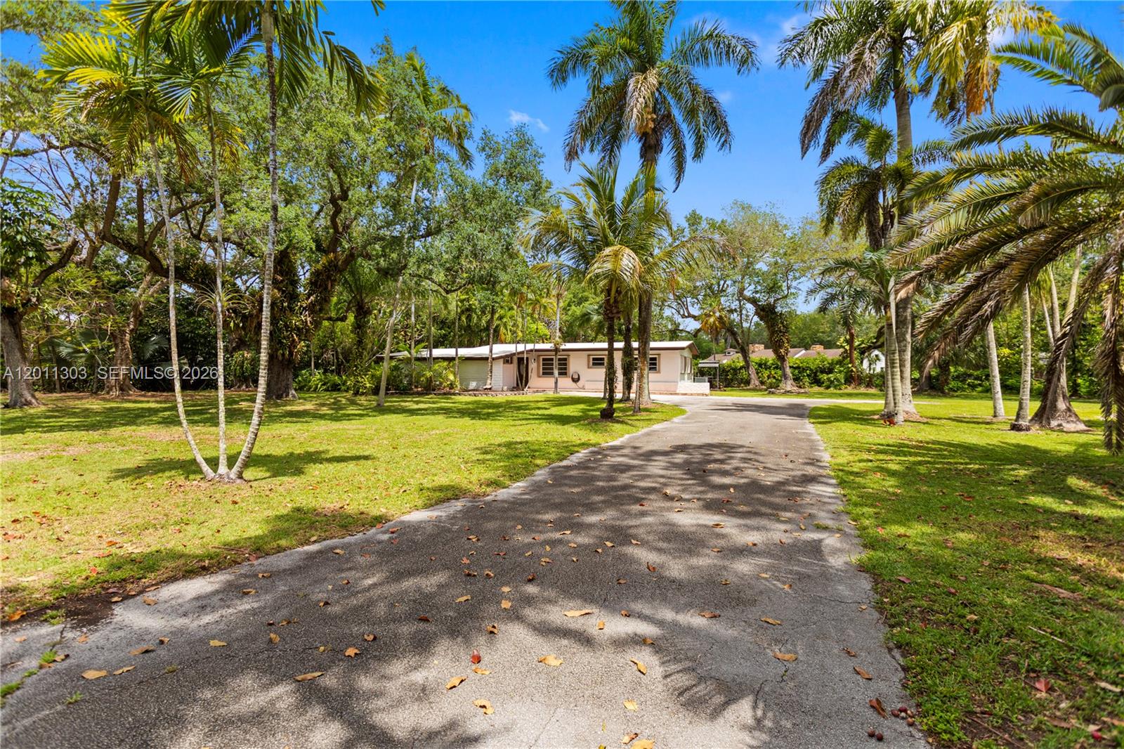 A paved driveway leads to a single-story house surrounded by palm trees and lawn — 15345 SW 269th Ter, Homestead FL 33032, HOMESTEAD, FL