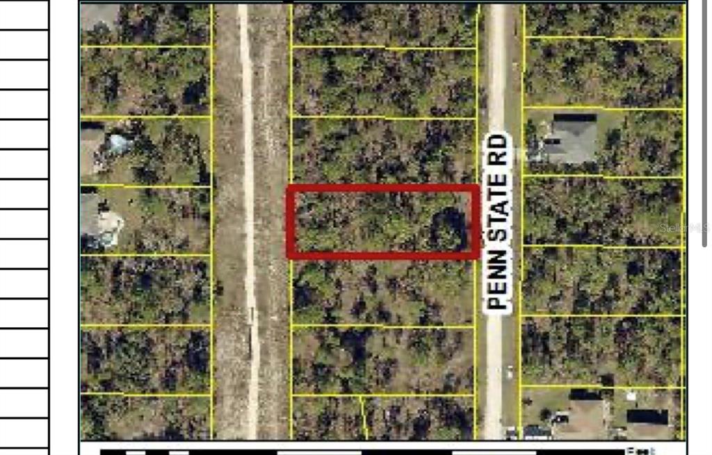 An aerial map view shows a rectangular lot highlighted in red along a paved road — PENN STATE ROAD, WEEKI WACHEE, FL