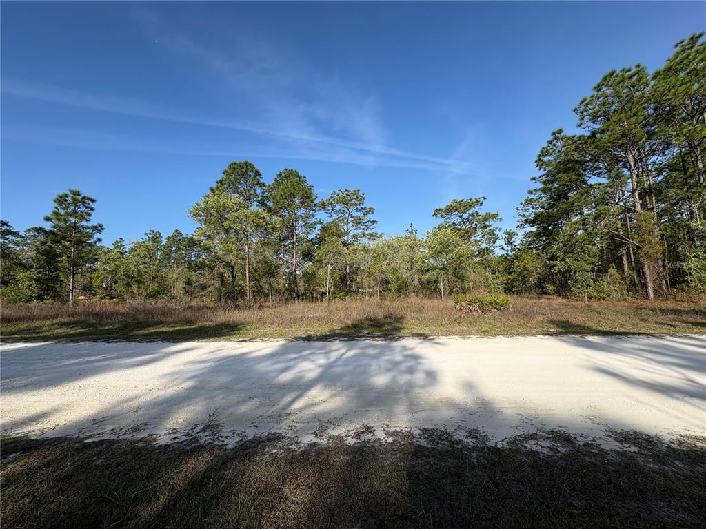 A sandy road runs in front of a wooded lot under a clear blue sky — PENN STATE ROAD, WEEKI WACHEE, FL