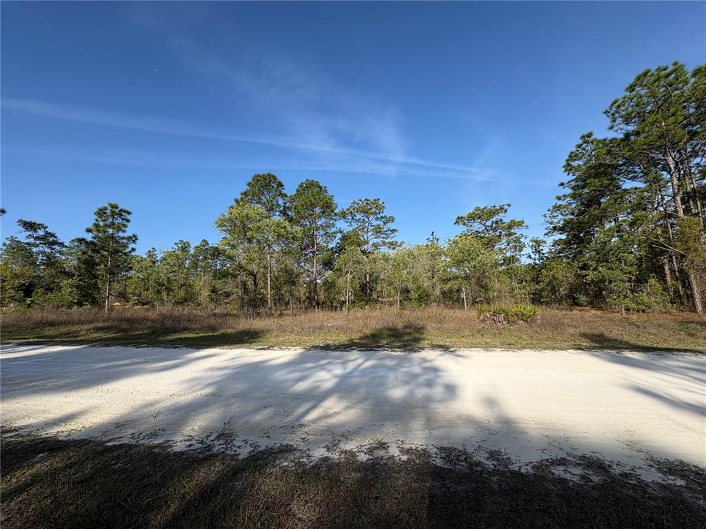 A sandy road runs in front of a wooded lot under a clear blue sky — PENN STATE ROAD, WEEKI WACHEE, FL