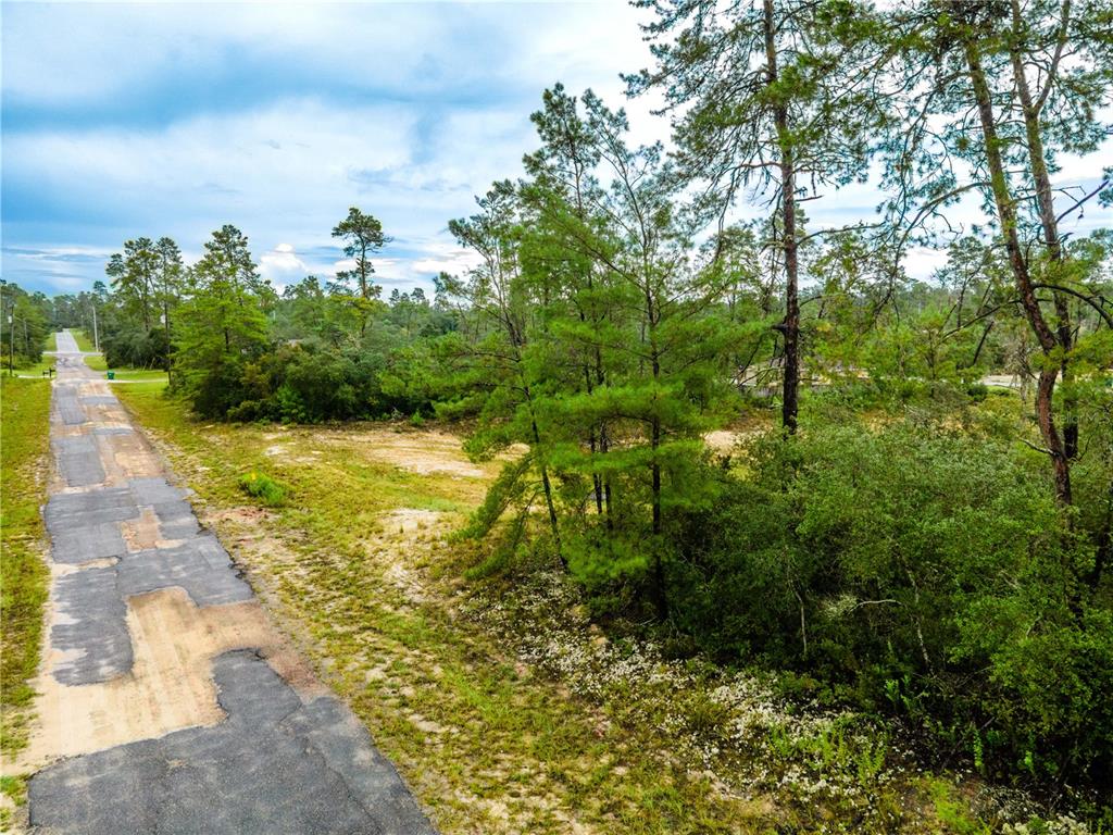 An aerial view shows a paved road bordering a vacant, partially wooded lot — 8109 N WAYSIDE AVENUE, DUNNELLON, FL