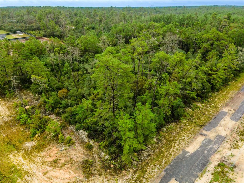 An aerial view shows a wooded, undeveloped lot adjacent to a paved road — 8109 N WAYSIDE AVENUE, DUNNELLON, FL