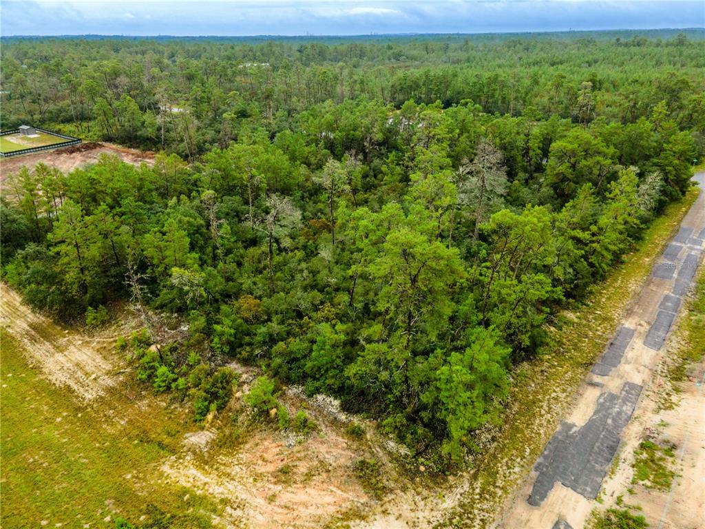 An aerial view shows a wooded lot bordered by a paved road and cleared land — 8109 N WAYSIDE AVENUE, DUNNELLON, FL