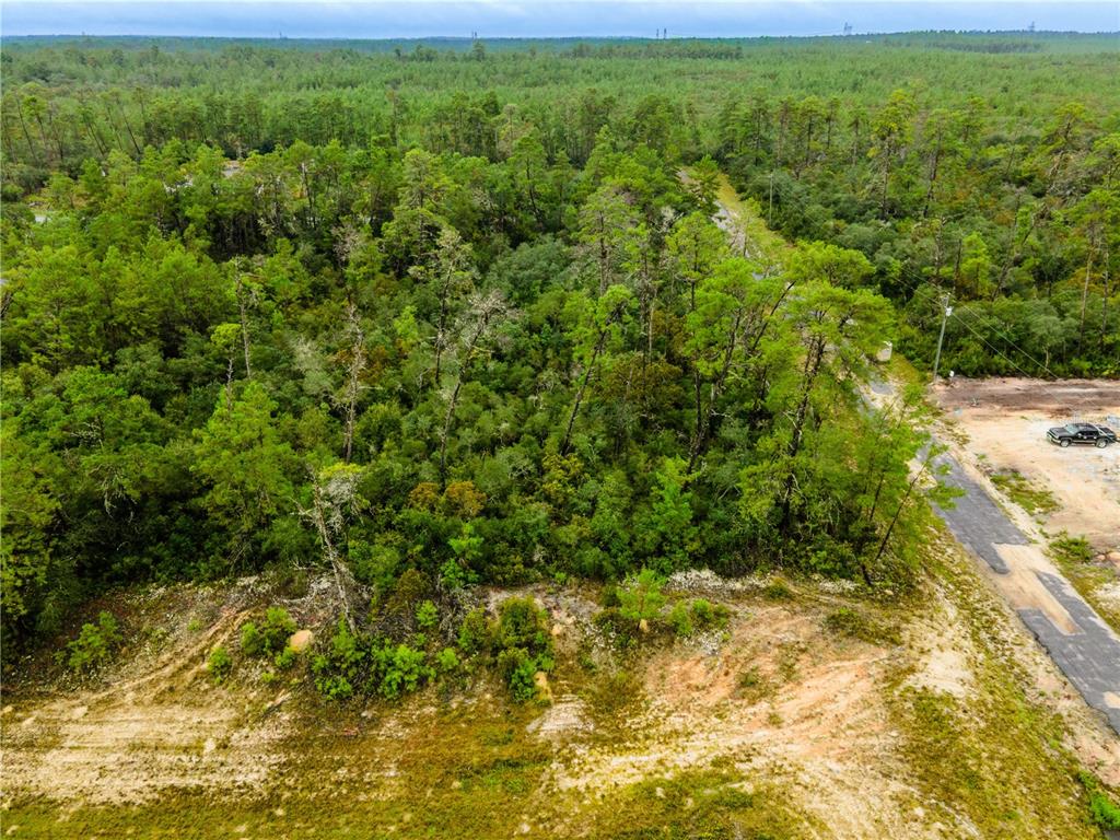 An aerial view shows a wooded, undeveloped lot adjacent to a paved road and dirt path — 8109 N WAYSIDE AVENUE, DUNNELLON, FL