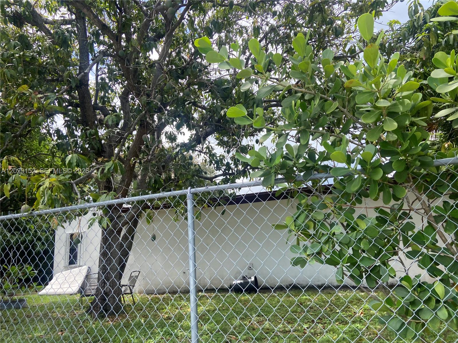 A chain-link fence stands in front of a white building and a large mango tree — 1220 S 29th Ave, Hollywood FL 33020, HOLLYWOOD, FL