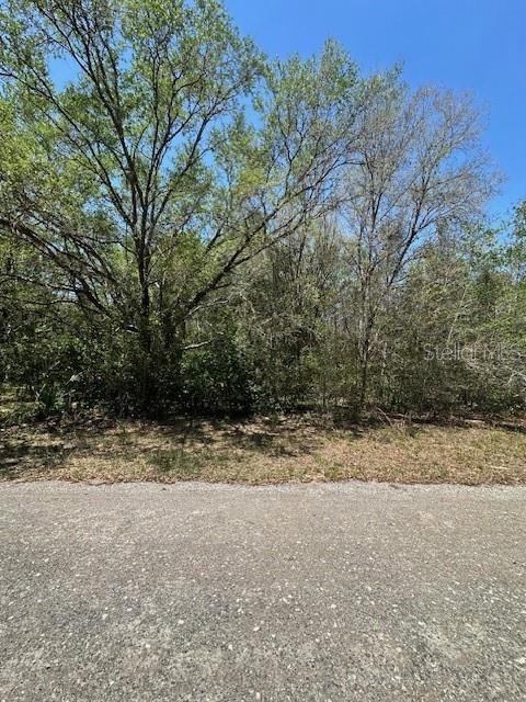 A view of a wooded, undeveloped lot from an adjacent paved road — 8681 N CATAPANE LOOP, CRYSTAL RIVER, FL