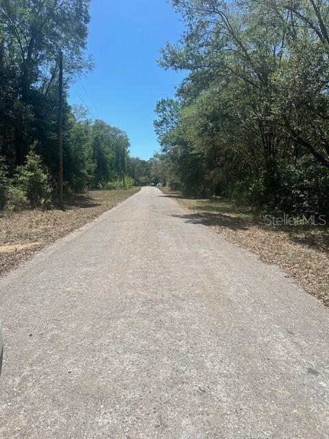 A gravel road stretches forward between dense trees under a clear blue sky — 8681 N CATAPANE LOOP, CRYSTAL RIVER, FL