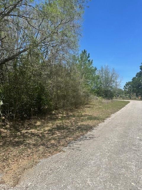 A gravel road runs alongside a wooded lot under a clear blue sky — 8681 N CATAPANE LOOP, CRYSTAL RIVER, FL