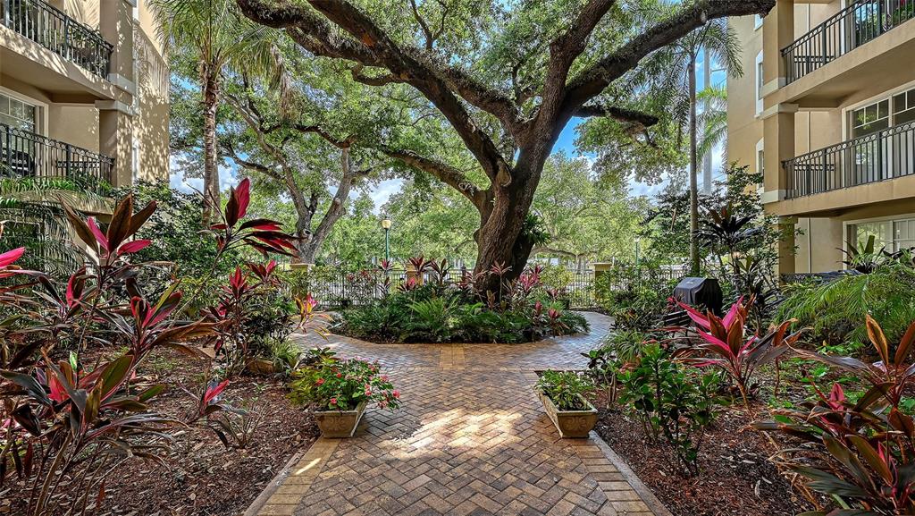 A brick walkway leads through a landscaped courtyard between two multi-story apartment buildings — 1268 11TH STREET UNIT 2404, SARASOTA, FL