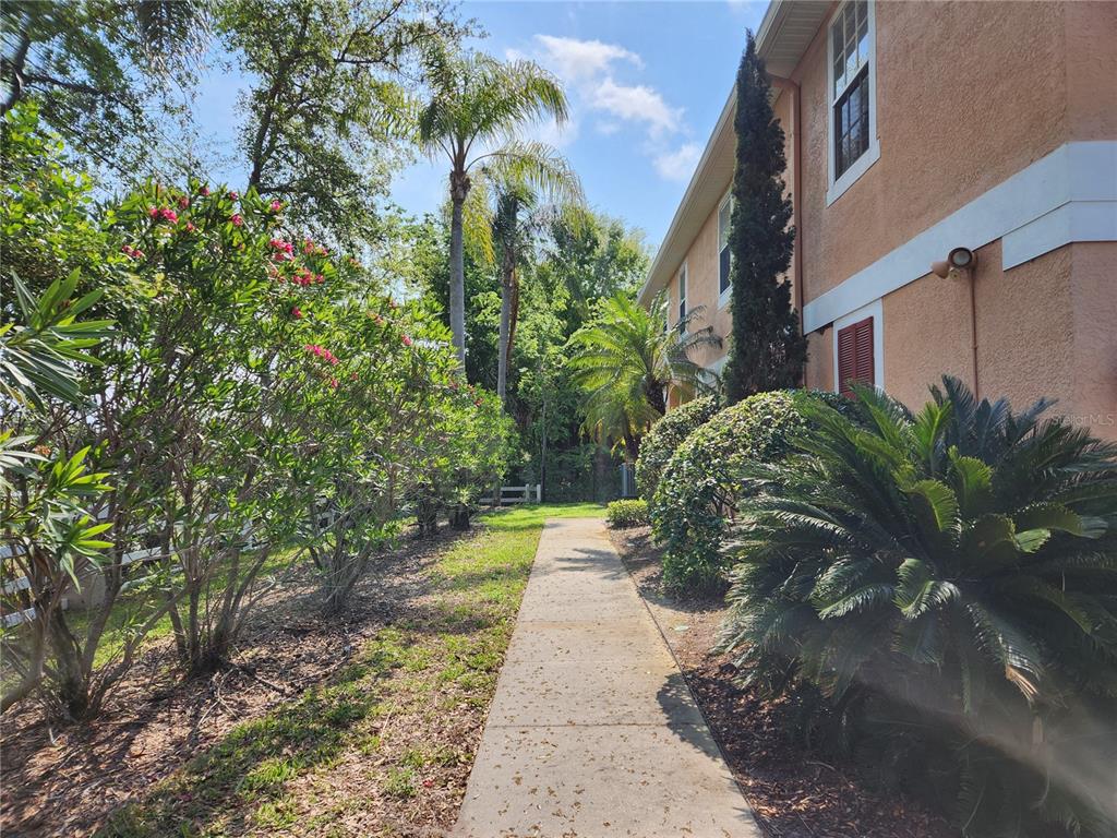 A concrete walkway leads past a stucco building exterior, palm trees, and flowering bushes — 8612 GREAT EGRET TRACE, NEW PORT RICHEY, FL
