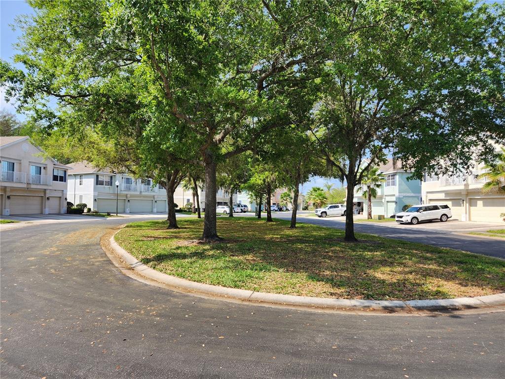 A circular grassy island with mature trees sits in the center of a residential street — 8612 GREAT EGRET TRACE, NEW PORT RICHEY, FL