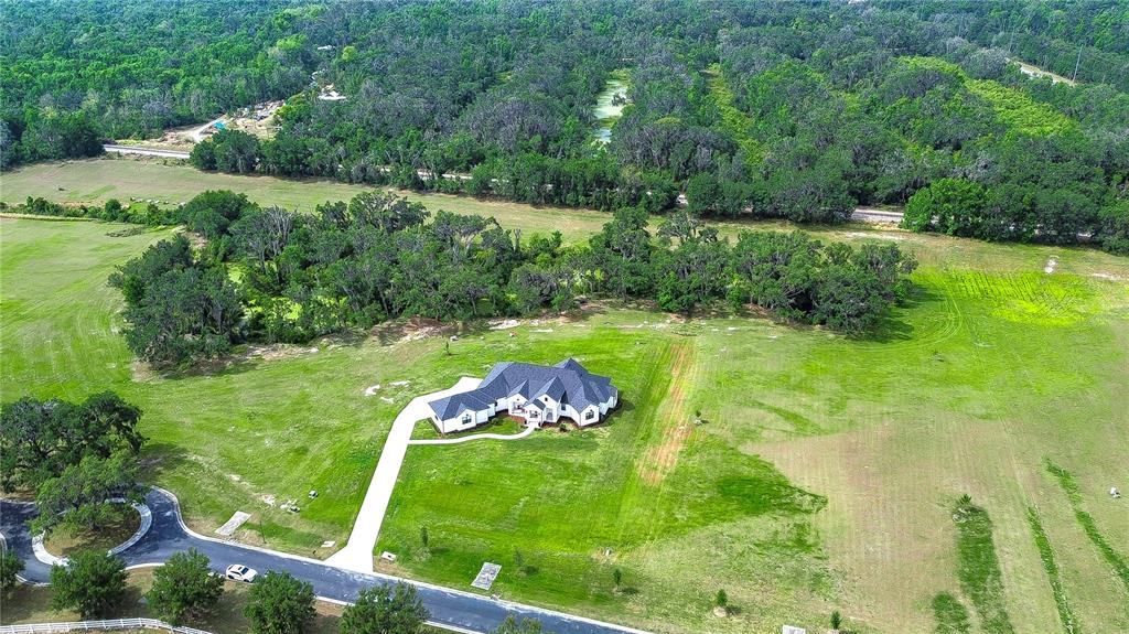 111 ALAFIA ESTATES LANE, LITHIA, FL — photo 3 of 30