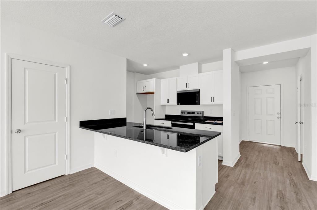 A kitchen with white cabinets, black countertops, and wood-look flooring — 367 SEQUOIA DRIVE, LAKE WALES, FL