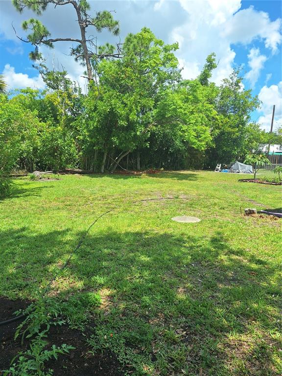 A grassy backyard features a large tree, dense foliage, and a circular ground cover — 402 CICERO STREET NW, PORT CHARLOTTE, FL