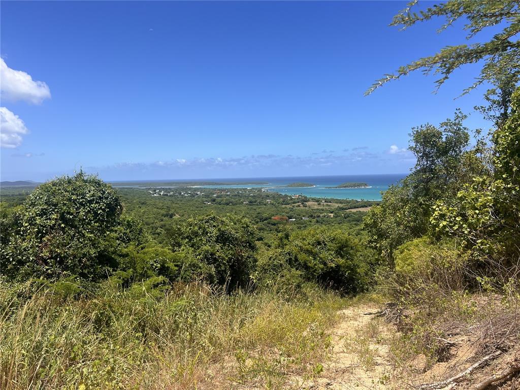 A high-angle view of a coastal landscape featuring green hills, a bay, and small islands — LA HUECA VISTAS LOT 3, VIEQUES, PR