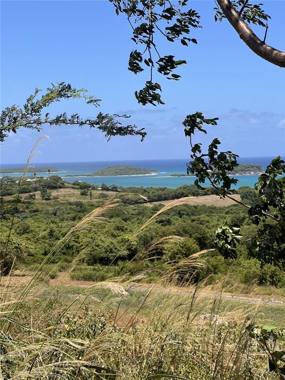 A view of a grassy hillside overlooking the ocean and several small islands — LA HUECA VISTAS LOT 3, VIEQUES, PR