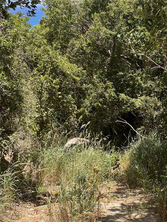 A view of a wooded, sloped lot with tall grasses and a glimpse of the ocean — LA HUECA VISTAS LOT 3, VIEQUES, PR