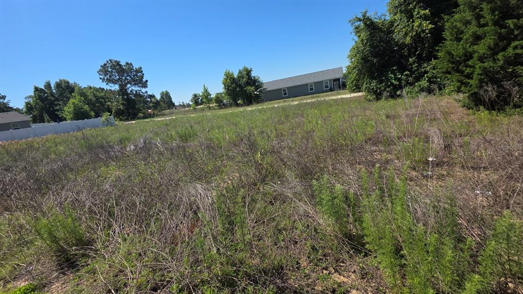 A vacant, overgrown grassy lot sits in front of a distant house and trees — SW 149TH TERRACE, OCALA, FL
