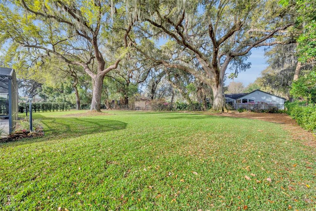 A large, grassy backyard features several mature oak trees draped with Spanish moss — 3158 WHISPER WIND DRIVE, ST CLOUD, FL