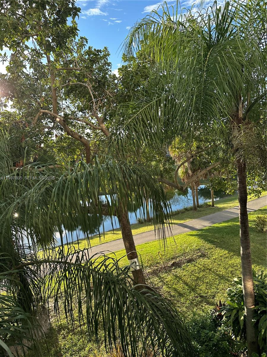 A view of a grassy lawn, a paved path, and a pond surrounded by trees — 3850 Washington St # 314, Hollywood FL 33021, HOLLYWOOD, FL