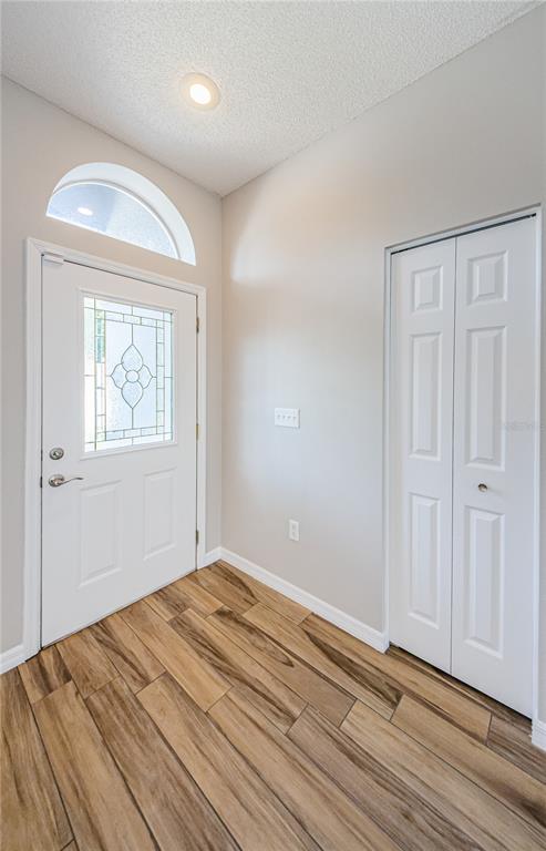 An entryway features a white front door with a glass insert, wood-look tile flooring, and a closet — 4801 AUGUSTA AVENUE, OLDSMAR, FL